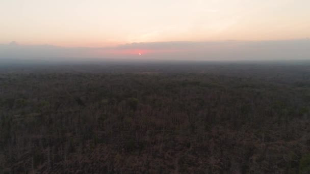 Puesta de sol sobre la sabana — Vídeo de stock