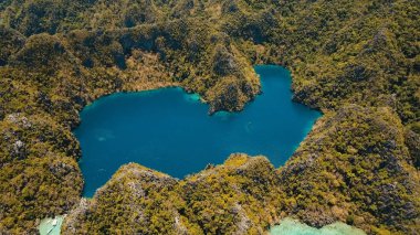 Filipinler, Coron, Palawan 'da tropikal bir adada Barakuda Gölü.