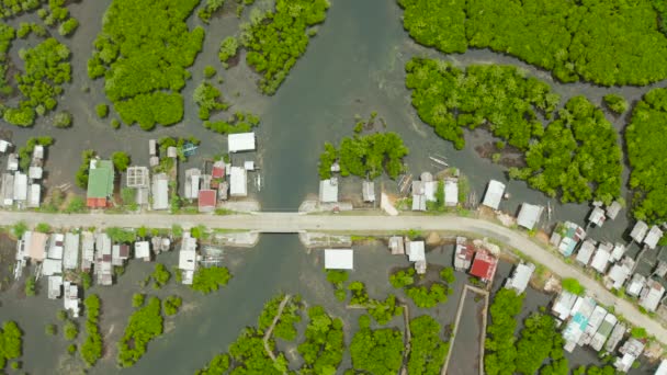 A város légi kilátása mangrove-ban van. Siargao, Fülöp-szigetek. — Stock videók