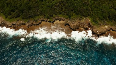 Okyanus kıyıya vuran dalgalarla