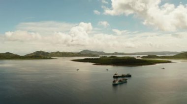 Kargo gemileri körfeze demirledi..