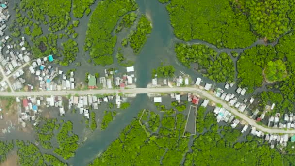 Hava manzarası. Kasaba mangrovlarda. Siargao, Filipinler. — Stok video