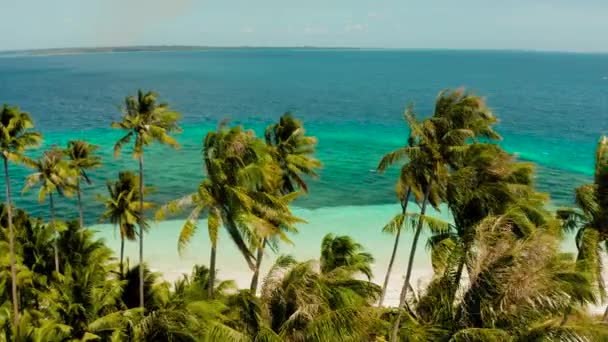 Tropikalna wyspa z piaszczystą plażą. Balabac, Palawan, Filipiny. — Wideo stockowe