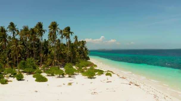 Tropikalna wyspa z piaszczystą plażą. Balabac, Palawan, Filipiny. — Wideo stockowe