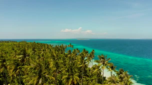 Isla tropical con playa de arena. Balabac, Palawan, Filipinas. — Vídeos de Stock