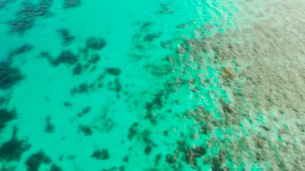 Transparent blått havsvatten i lagunen. — Stockvideo