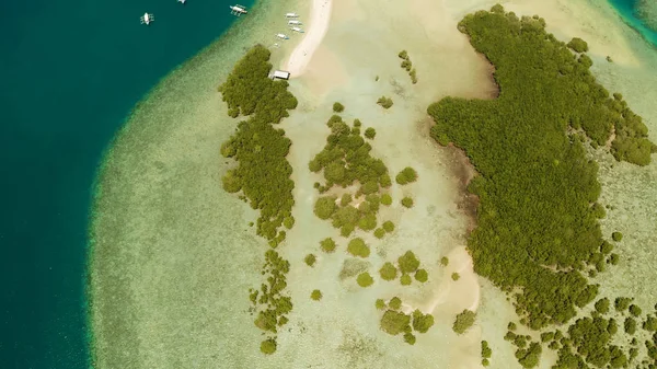 Isla tropical con playa de arena. Palawan, Filipinas —  Fotos de Stock