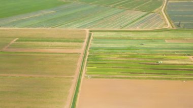 Tarım arazisi yukarıdan gelen yeşil ekinlerle