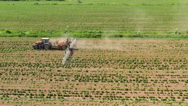 Trattore a spruzzo pesticidi su campo vegetale con spruzzatore — Video Stock