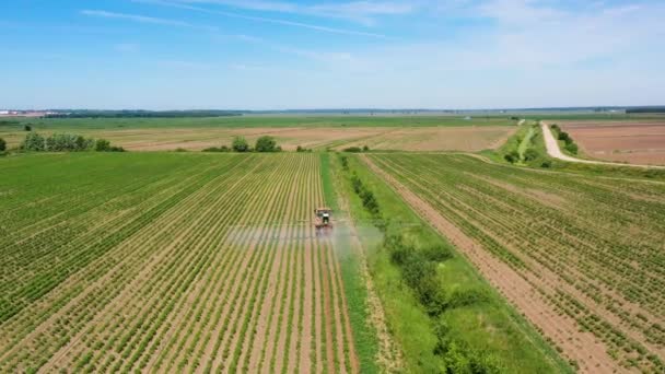 Tracteur pulvérisation de pesticides sur les champs de légumes avec pulvérisateur — Video