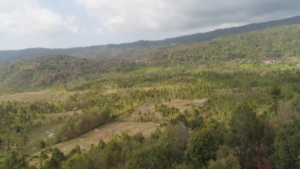 Paisaje de montaña tierras agrícolas y pueblo Bali, Indonesia. — Vídeos de Stock