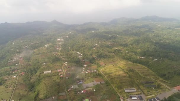 Landwirtschaftliche Flächen in Indonesien — Stockvideo