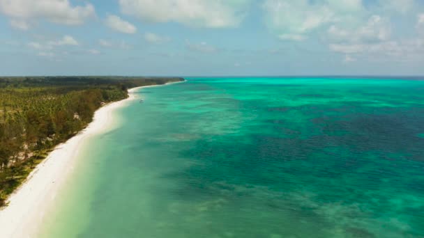 Isla tropical con playa de arena. Balabac, Palawan, Filipinas. — Vídeos de Stock