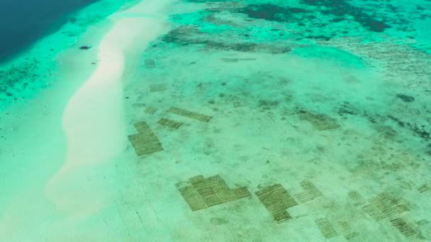 Zandstrand in de lagune met turquoise water. Balabac, Palawan, Filipijnen. — Stockvideo