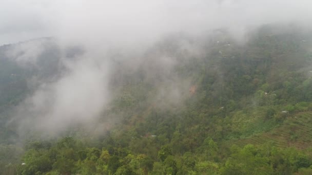 Tierras de cultivo y aldea Bali, Indonesia. — Vídeos de Stock