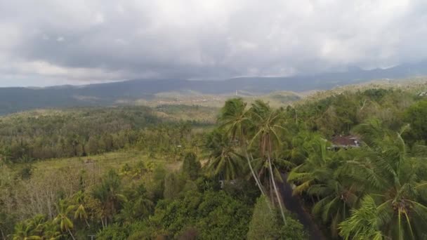 Endonezya 'da tarım arazisi olan tropikal araziler — Stok video