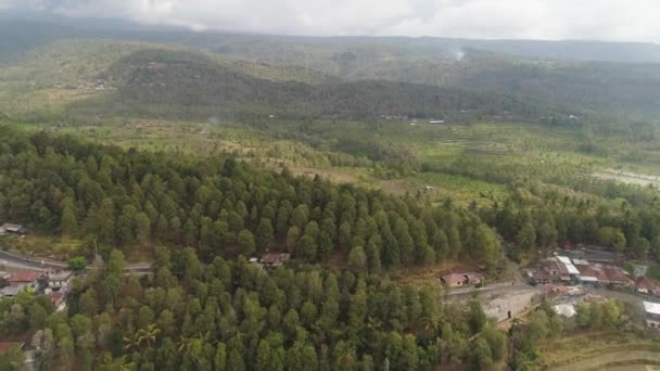 Paisagem tropical com terras agrícolas na indonésia — Vídeo de Stock