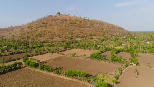 Landwirtschaftliche Flächen in Indonesien — Stockvideo