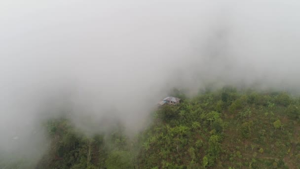 Tierras de cultivo y aldea Bali, Indonesia. — Vídeo de stock