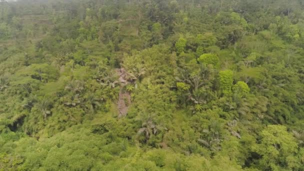 Paisaje tropical selva tropical y montañas — Vídeo de stock