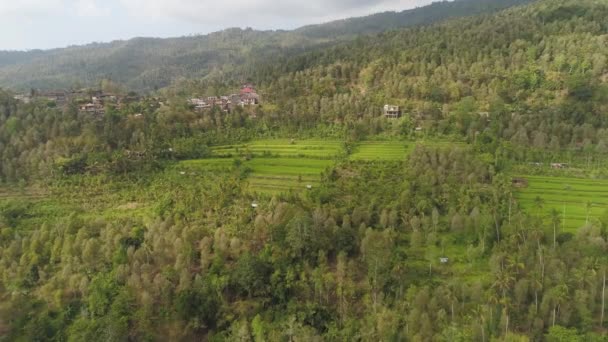 Paisaje tropical con tierras agrícolas en indonesia — Vídeo de stock