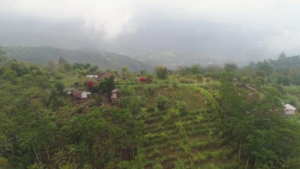 Tierras de cultivo y aldea Bali, Indonesia. — Vídeo de stock