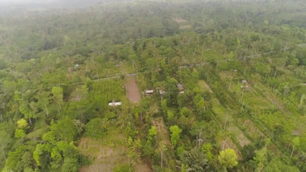 Fazendas e aldeia Bali, Indonésia. — Vídeo de Stock