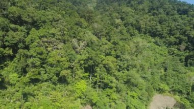 Yağmur ormanlarıyla kaplı dağ manzarası.