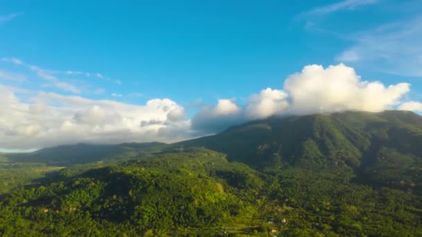 Bergen bedekt met regenwoud en wolken, tijdspanne. — Stockvideo