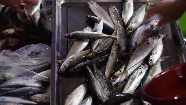 Marché aux poissons aux Philippines. — Video