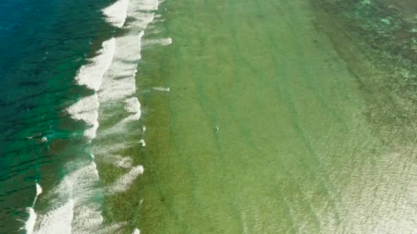 Olas estrellándose en un arrecife de coral. — Vídeo de stock