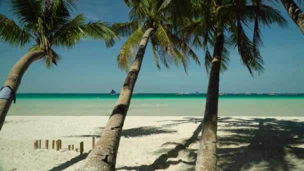 Spiaggia tropicale di sabbia e mare blu, Filippine. — Video Stock