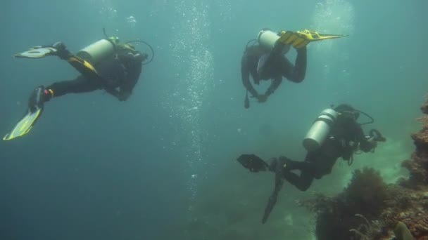 Suyun altında balıklı mercan kayalıkları. Camiguin, Filipinler — Stok video