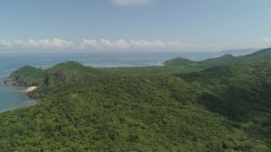 Palau adasının kıyısında. Filipinler.