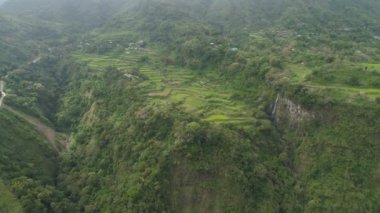 Dağlarda pirinç terasları.