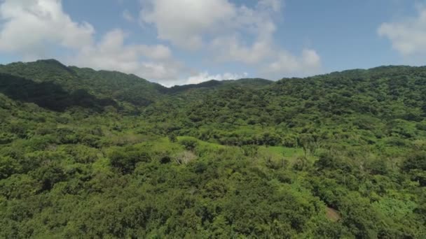 Vista da paisagem montanhosa com floresta tropical. — Vídeo de Stock