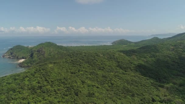Ακτή του νησιού Παλάου. Φιλιππίνες. — Αρχείο Βίντεο