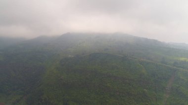 çiftçi ile tropikal peyzaj dağlarda toprakları