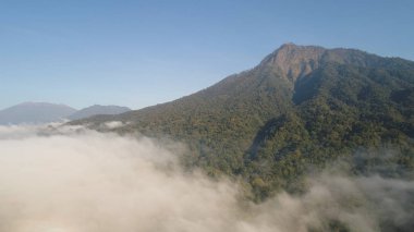 Tropikal manzara yağmur ormanları ve dağlar