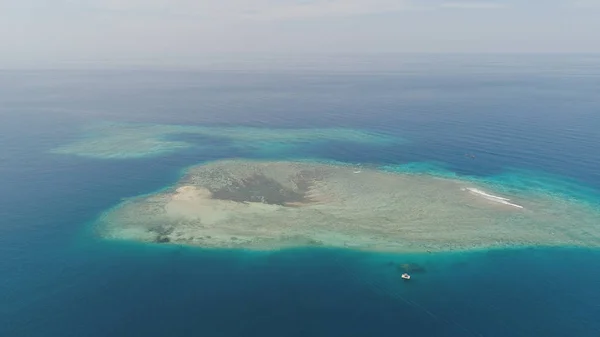 海の中のサンゴ礁は — ストック写真