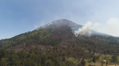 Dağlarda orman yangını