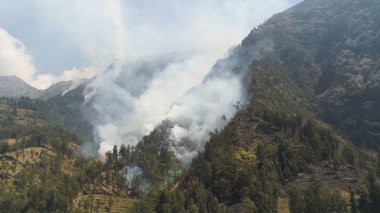 Dağlarda orman yangını