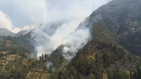 Dağlarda orman yangını