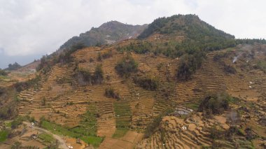Dağlarda tarım arazileri olan tropikal manzaralar