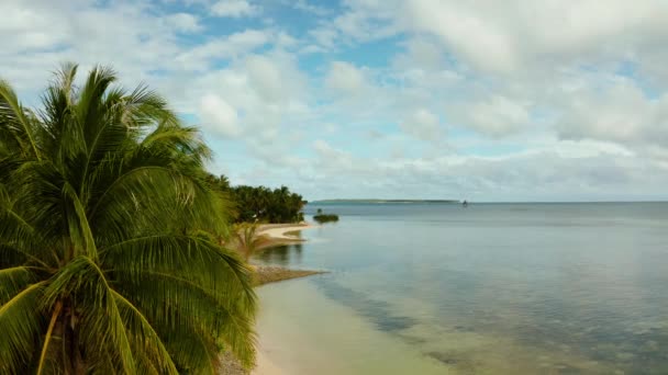 Plage tropicale avec palmiers., vue aérienne.