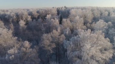 Kırsal kesimde kış manzarası