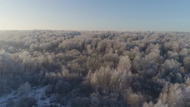 Paisagem de inverno no campo — Vídeo de Stock