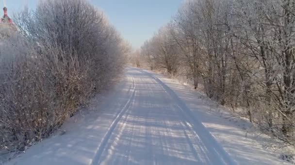 乡村冬季景观 — 图库视频影像