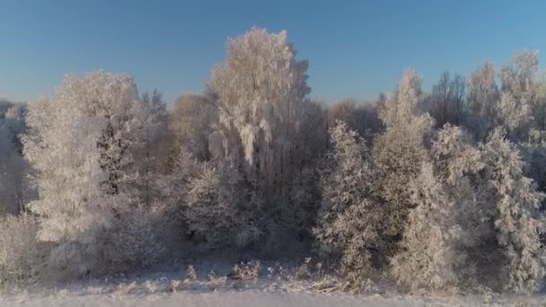 Зимовий пейзаж у сільській місцевості — стокове відео