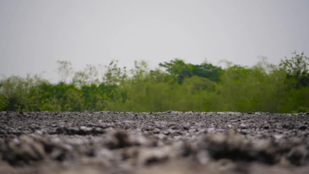 Volcán de lodo Bledug Kuwu, Indonesia — Vídeos de Stock